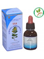 TSA TURNERA APHRODISIACA 50 ML– foglie (Damiana) – HERBOPLANET