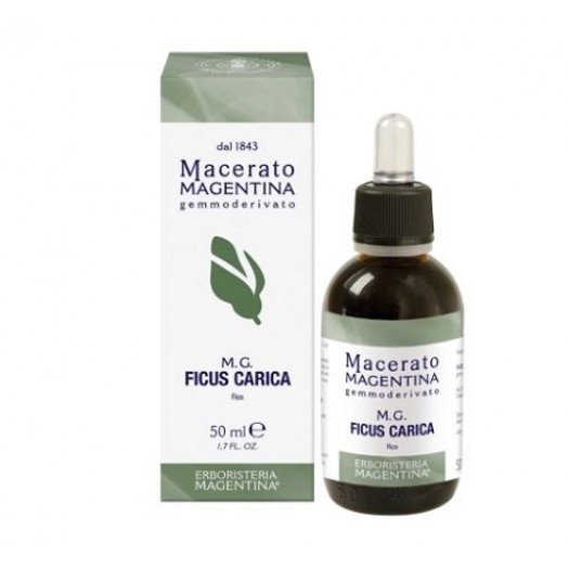 MG Ficus Carica 50ml TINTURE MAGENTINA