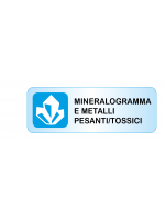 Test Mineralogramma su capello