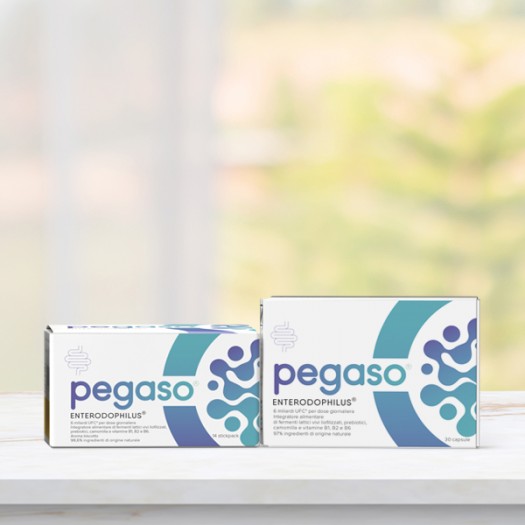 ENTERODOPHILUS® 90 CAPSULE PEGASO® 