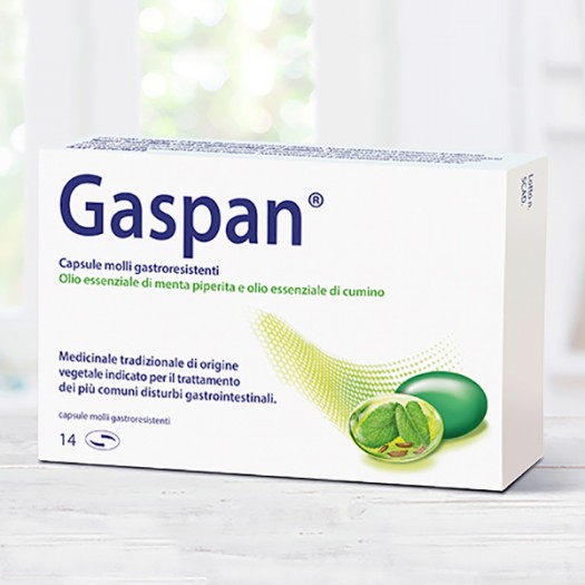 GASPAN 14 CAPSULE MOLLI GASTRORESISTENTI Schwabe Pharma