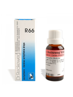 R66 Dr. Reckeweg Gocce 22ml 