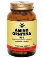 AMINO ORNITINA 500